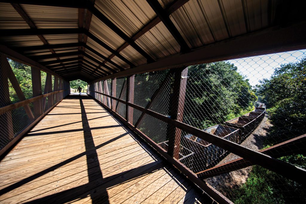 The Florida Gulf and Atlantic Railroad train passes under the Lafayette Heritage Trail Park Canopy Walkway Bridge 