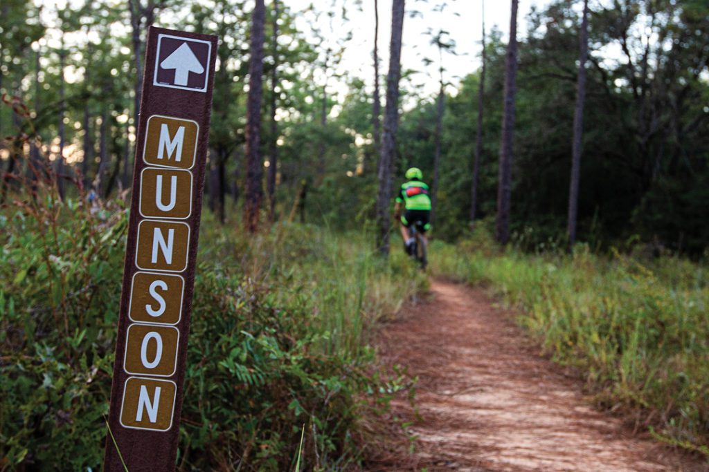 The Munson Hills Mountain Bike Trail cuts through the Apalachicola National Forest