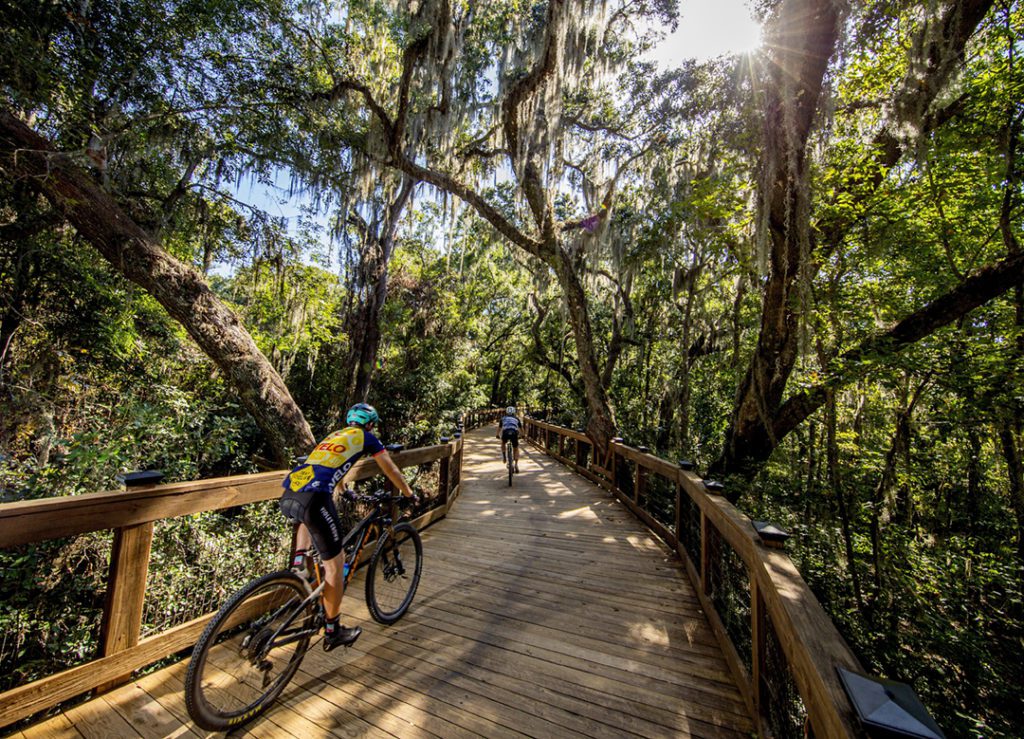 allahassee's Lafayette Heritage Trail Park Canopy Walkway Bridge