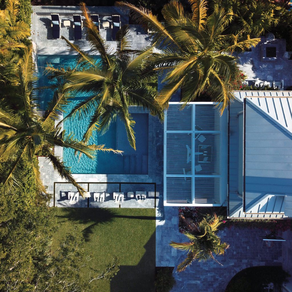 Three types of palms plus live oaks in Fort Lauderdale