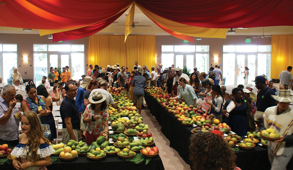 Fairchild’s mango auction; Photograph by Fairchild Tropical Gardens