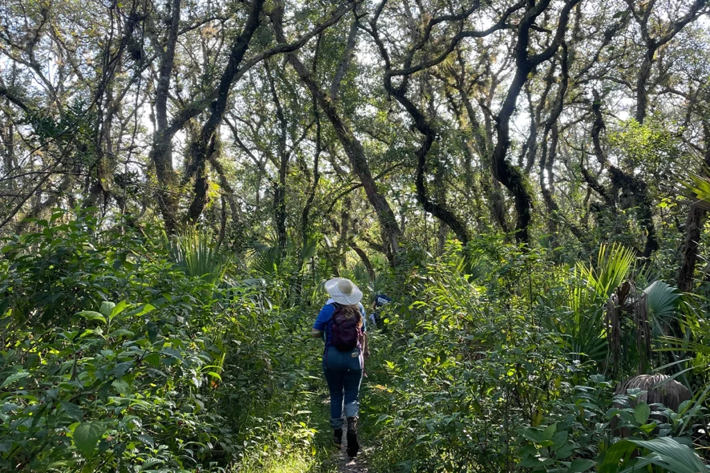 Martin County: Where AI Means Authentic Inspiration 3 Take an eco-tour and connect with Florida's nature in a hands-on way.