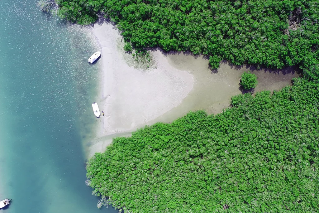 Martin County: Where AI Means Authentic Inspiration 1 Unplug and set out via boat to a sandbar destination—free from any unwanted distractions.