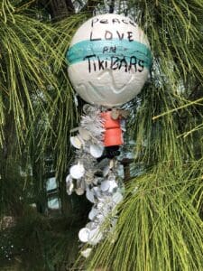 Have You Met Fred the Tree? Introducing the Keys' Quirkiest Resident