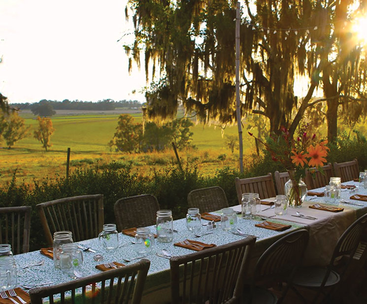 A dreamy backdrop for a meal at Swallowtail Farm; Photography by Onna Meyer