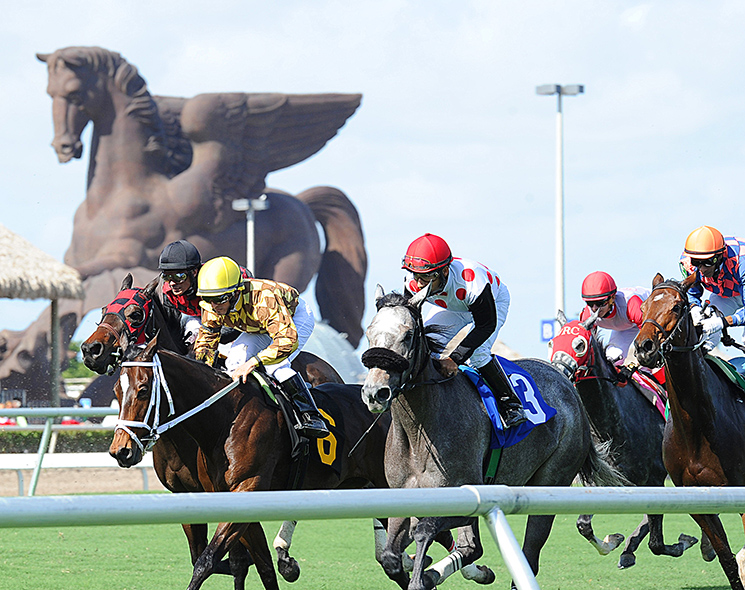 pegasus-pic-745