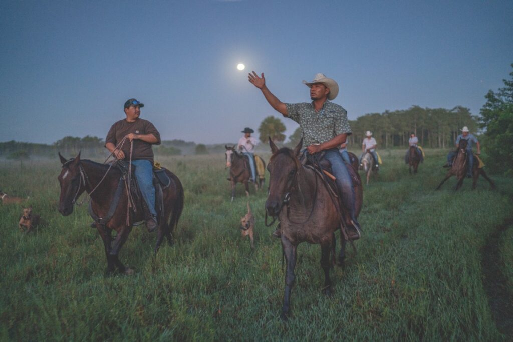 Ranching in Florida; The Florida Cow CavvySavvy.com - We Know Working Horses