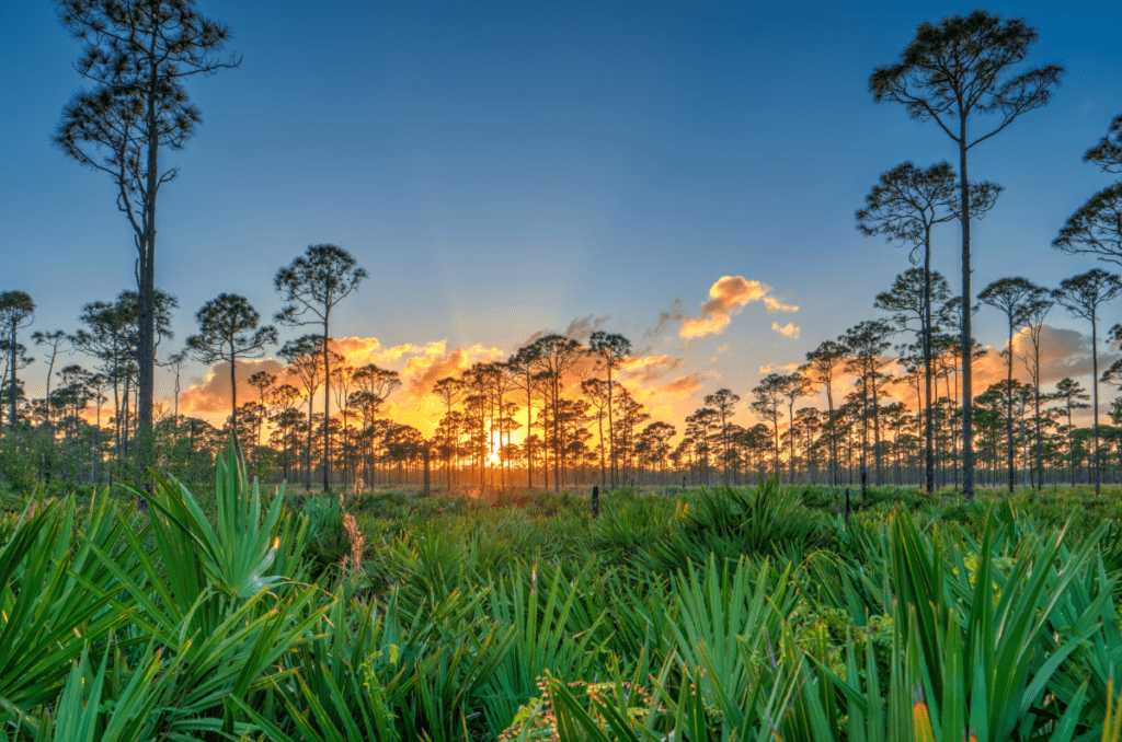 tourist attraction in martin county florida