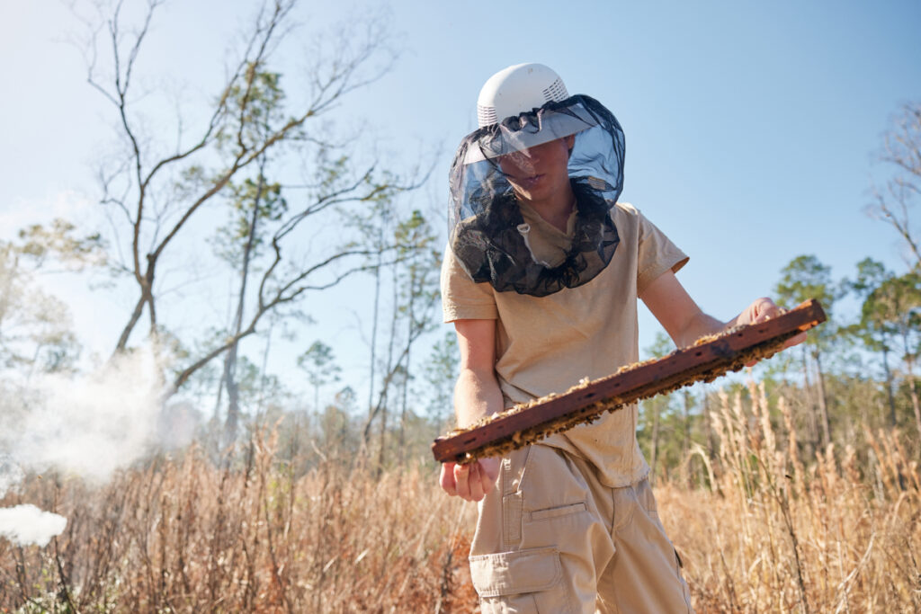 Florida's Iconic Tupelo Honey is in a Sticky Situation. Can Beekeepers  Bring it Back?