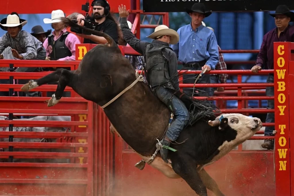 What to Do This June Across Florida 8 Cheer on professional cowboys and bowgirls at the Weekely Brothers Davie Pro Rodeo in Davie, Florida.