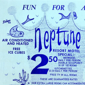 Flamingo NeptuneFlyer 2025 e1749831057916