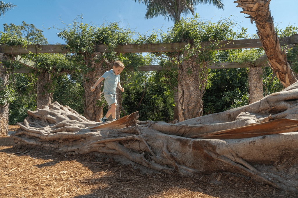 Naples Botanical Garden has free children's admission for all kids under 17.