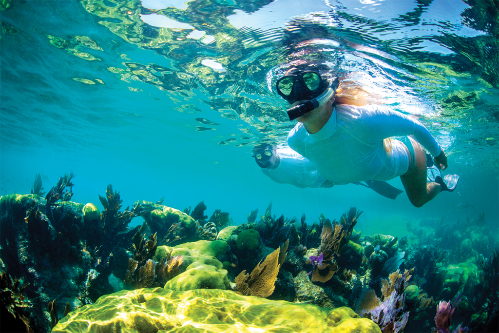 travelers in the florida keys get the opportunity to explore abundant coral reefs and see exotic fish through snorkeling, diving and scuba trips.