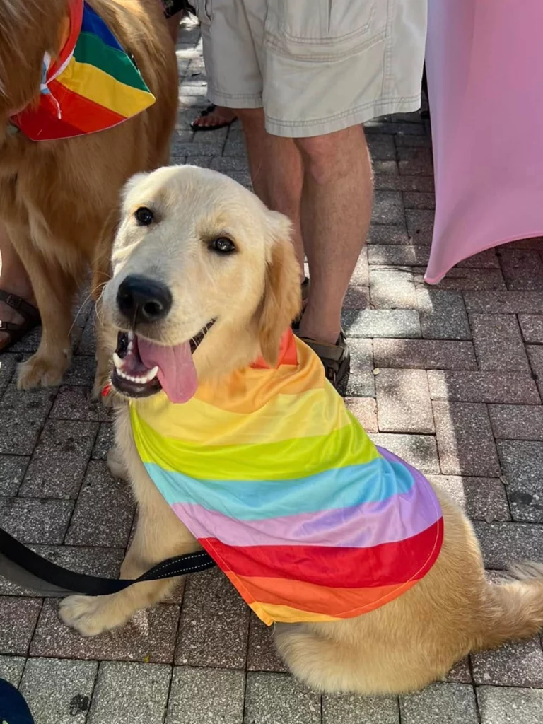 Six Florida LGBTQ+ Owned Bookstores To Get Lost in This Summer 3 Hello Again in a used bookstore in Cocoa that emphasizes LGBTQ+ voices and has a pet pride parade every year.