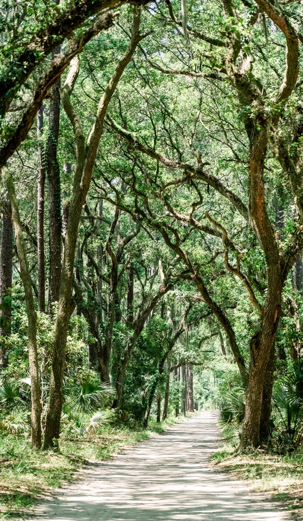 Palmetto Bluff: South Carolina's Tranquil Retreat 5 Canopied trees line River Road, making it the perfect shady street for bikers and strollers.