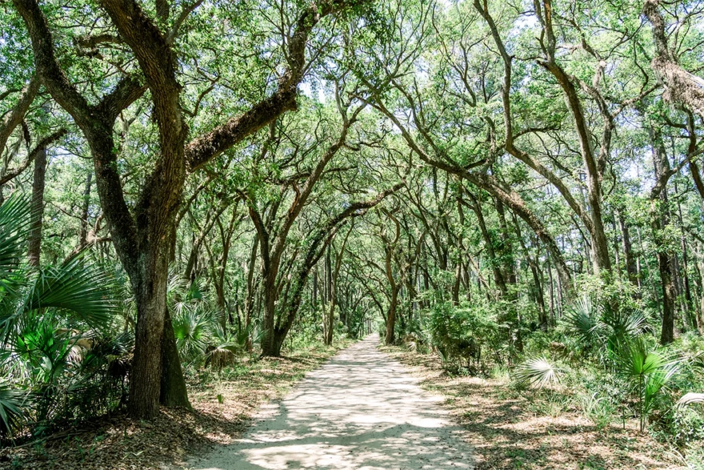 The Perks and Pursuits at Palmetto Bluff 2 Grab a bike and cruise down scenic River Road.