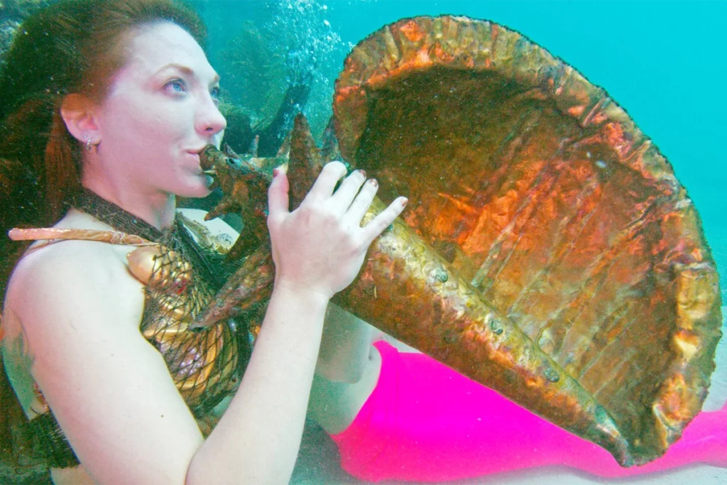 Must-Do July Events in Florida 5 Key West Underwater Music Festival Looe Key Reef