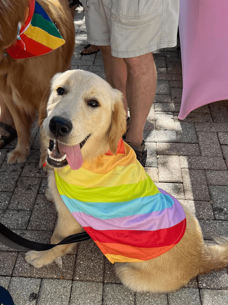 Hello Again in a used bookstore in Cocoa that emphasizes LGBTQ+ voices and has a pet pride parade every year.